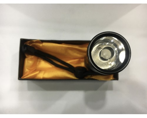 Nikula Beyaz Led Işıklı Mini Fener D35