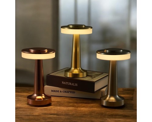 Dekoratif Led Masa Lambası MZ-600